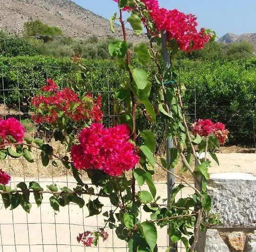 别墅 Chic Villa In Kalymnos + Mountain View *